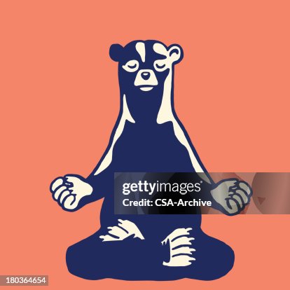 Bear Meditating Bear Meditating