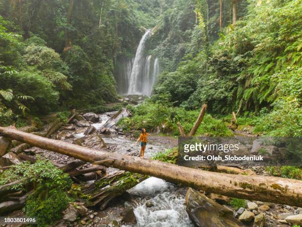 aerial view of woman crossing river by log on the background of tropical waterfall while hiking - lombok bildbanksfoton och bilder