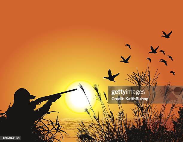 duck hunting background - hunter - hunter stock illustrations
