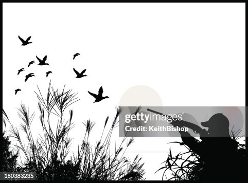 Duck Hunter - Hunting Background Duck Hunter - Hunting Background