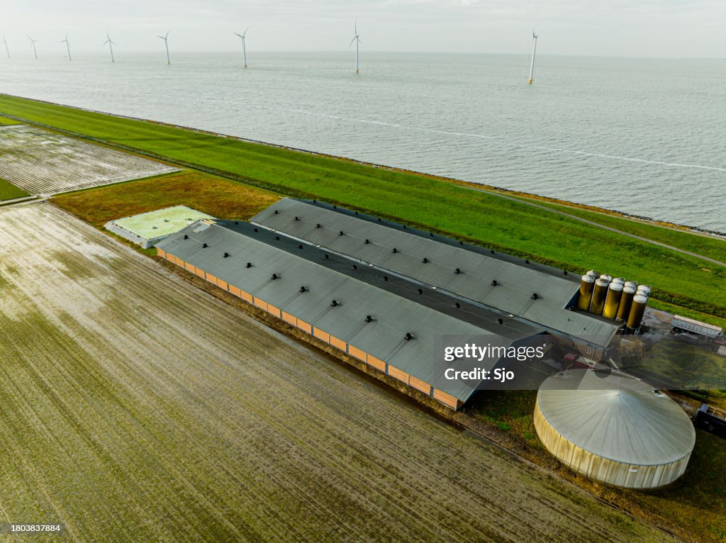 Pig farm on an industrial scale seen from above