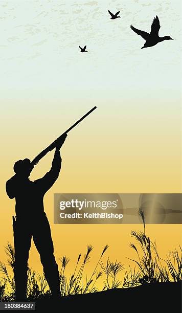 duck hunting background - hunter - fire bird stock illustrations