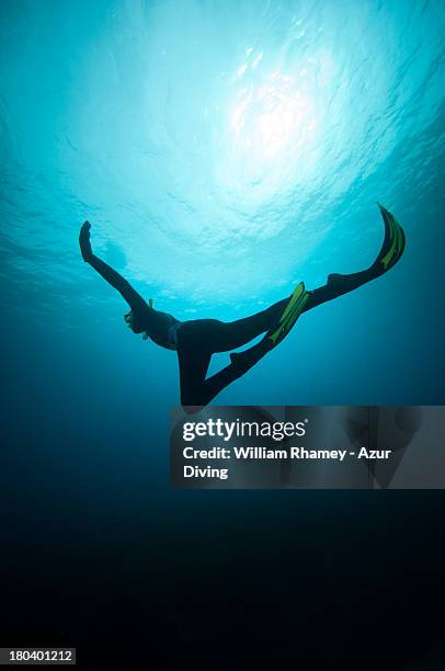 Free Diver High-Res Stock Photo