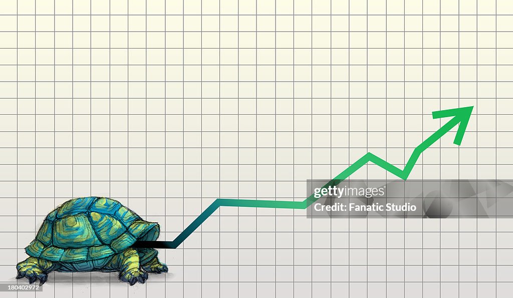 Illustrative image of tortoise with line graph representing slow and steady business growth