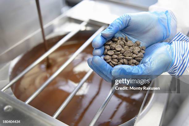 chocolatier inspecting chocolate chips in chocolate factory, close up - candy factory 個照片及圖片檔