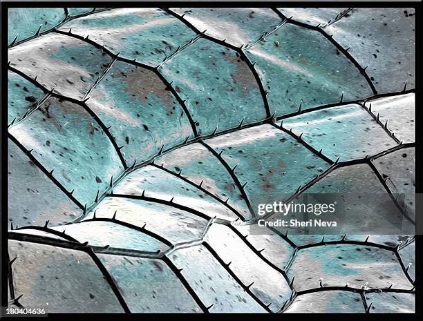 blue dragonfly wing, sem, color enhanced - micrografia elettronica a scansione foto e immagini stock