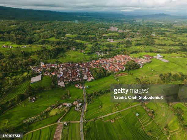 aerial view of residential neighbourhood  growing near ubud on bali island - ubud rice fields stock pictures, royalty-free photos & images