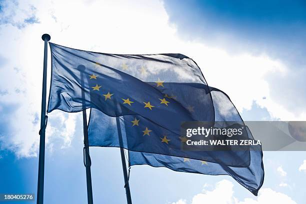 european community flags - europees parlement stockfoto's en -beelden