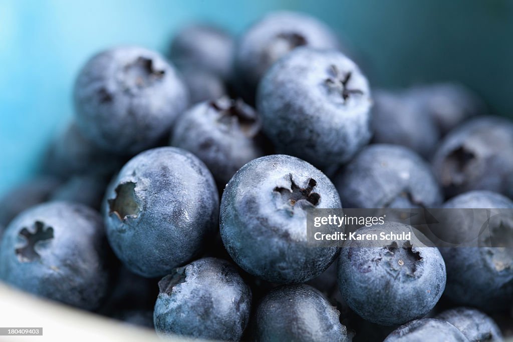 Studio Shot of blueberries