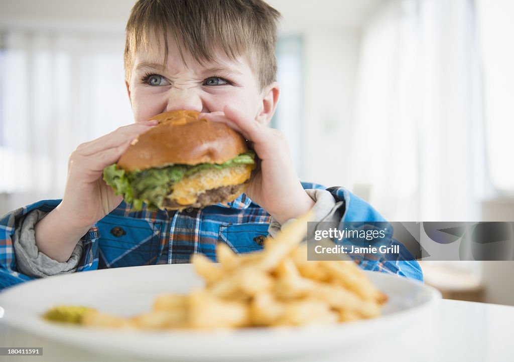 USA, New Jersey, Jersey City, Portrait of boy (4-5) eating hamburger