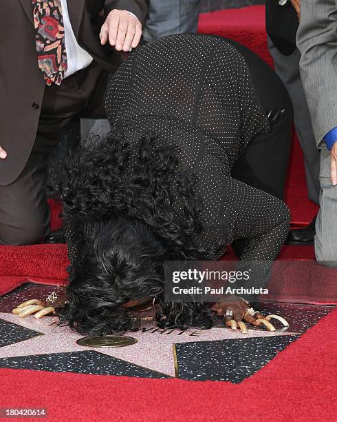 Glodean White attends the Star ceremony honoring Barry White on the Hollywood Walk Of Fame on September 12, 2013 in Hollywood, California.