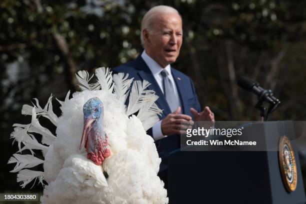 President Joe Biden pardons the National Thanksgiving turkey Liberty during a ceremony on the South Lawn of the White House on November 20, 2023 in...