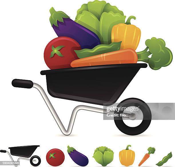 wheelbarrow vegetables - lettuce growing stock illustrations