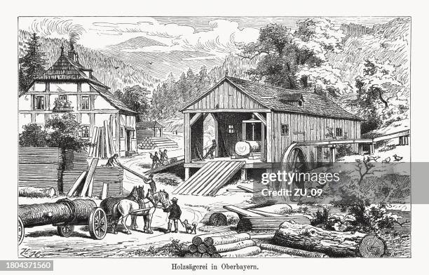 holzsägewerk in oberbayern, deutschland, holzstich, erschienen 1894 - grautier pferdeartige stock-grafiken, -clipart, -cartoons und -symbole