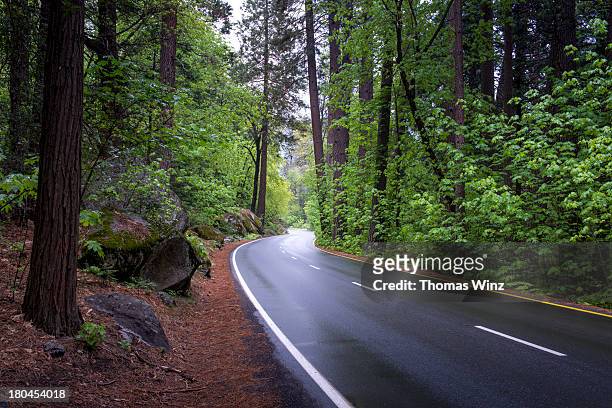 wet curved road through the sierras - sierra nevada i kalifornien bildbanksfoton och bilder