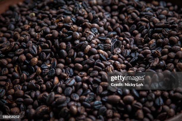 Coffee seeds are displayed inside a 'Kopi Luwak' or Civet coffee farm and cafe on May 27, 2013 in Tampaksiring, Bali, Indonesia. World Society for...