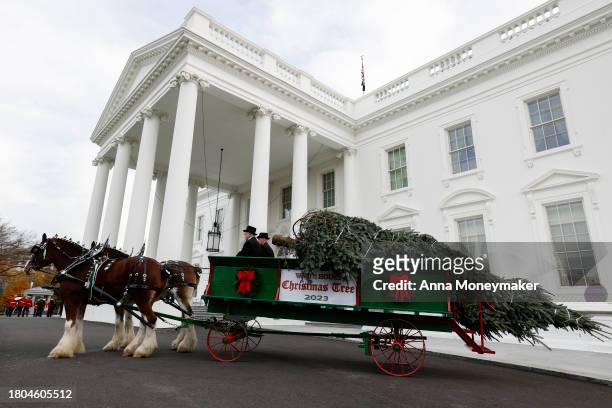 First lady Jill Biden welcomes the official 2023 White House Christmas Tree at the White House on November 20, 2023 in Washington, DC. Biden was...