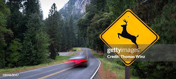 deer crossing sign and traffic - deer crossing stock pictures, royalty-free photos & images