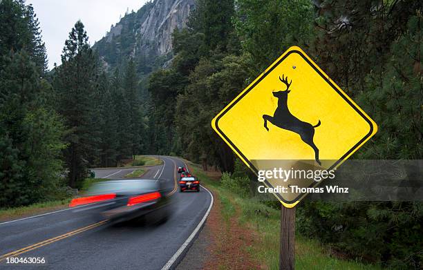 deer crossing sign and traffic - deer crossing stock pictures, royalty-free photos & images
