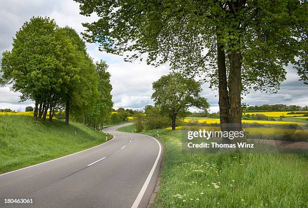 country road in springtime - landweg stockfoto's en -beelden