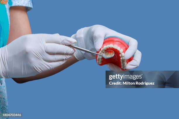 mirror with model of mouth with teeth for dentistry - angled mirror stock pictures, royalty-free photos & images