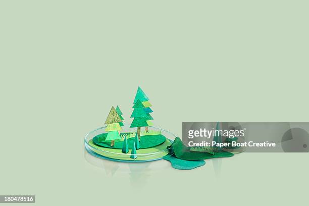 paper craft mountains and trees on a petri dish - paper craft stock-fotos und bilder