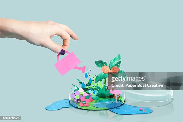 Hand watering a paper craft world in petri dish