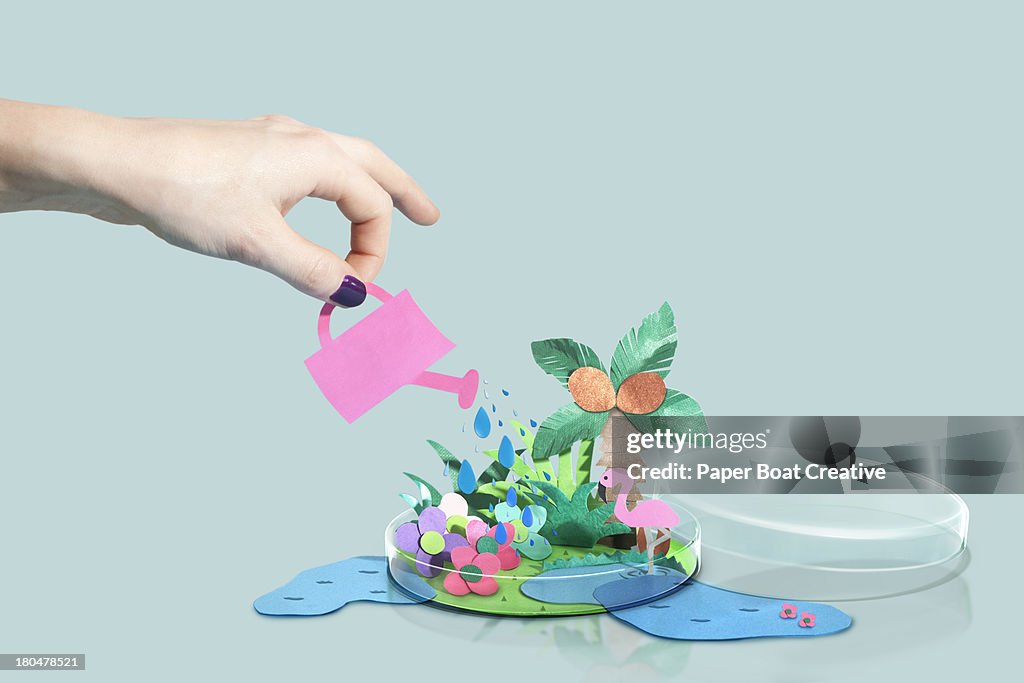Hand watering a paper craft world in petri dish