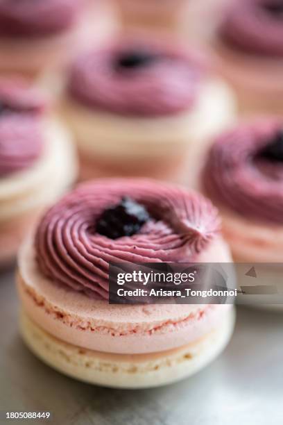 macarons sucrés aux myrtilles - dessert photos et images de collection