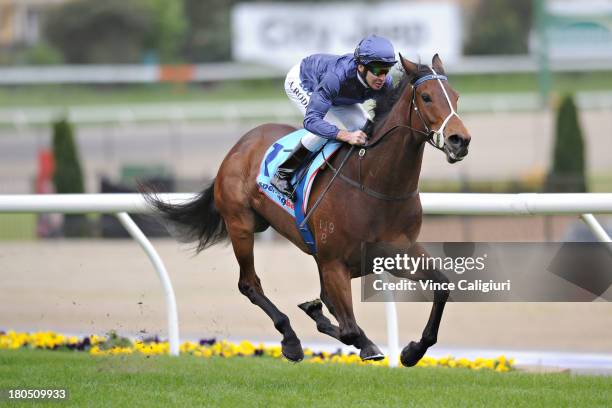 Michael Rodd riding Atlantic Jewel winning the Top Cut Stocks Stakes during Melbourne Racing at Moonee Valley Racecourse on September 14, 2013 in...