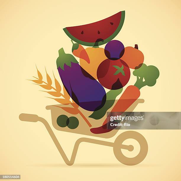 food harvest - carrots stock illustrations