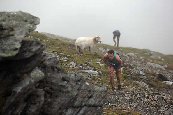 Welsh Fell Races Fell runners approach the summit of Snowden as they compete in the ...