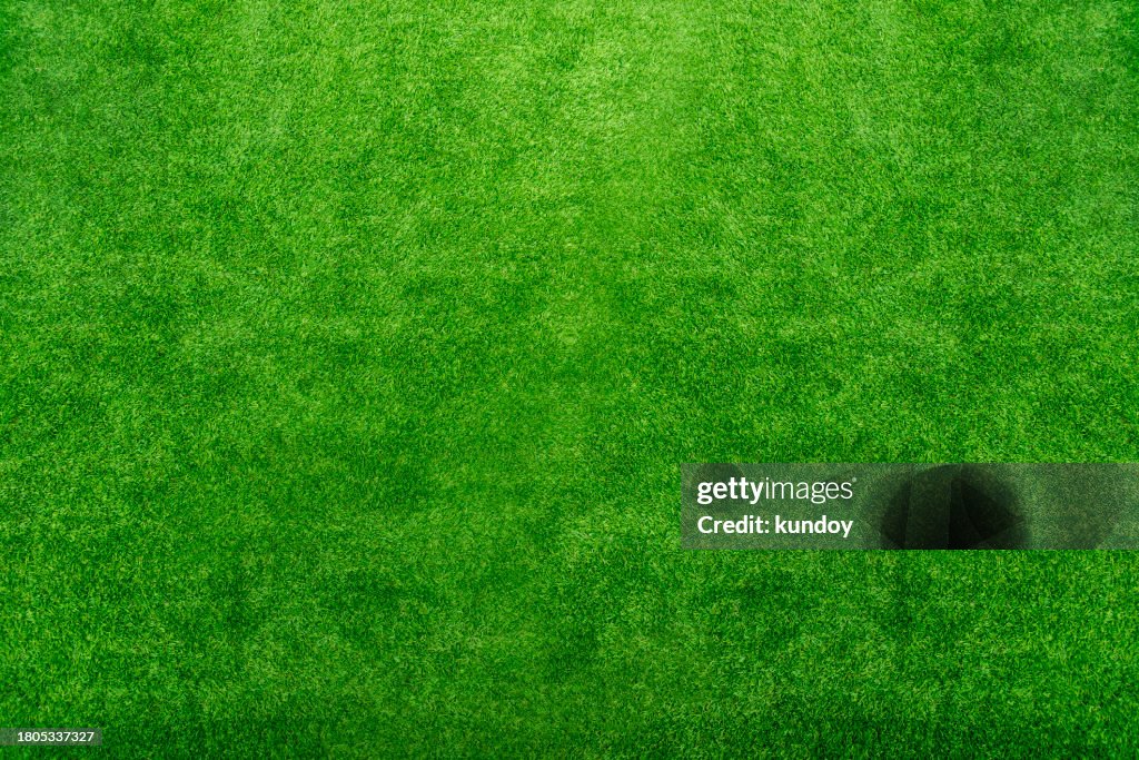 Abstract nature background and texture of Beautiful green grass pattern from golf course.
