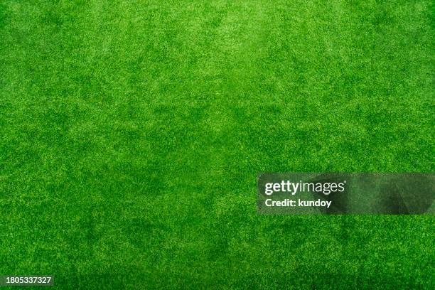 abstract nature background and texture of beautiful green grass pattern from golf course. - gramado-terra-cultivada - fotografias e filmes do acervo