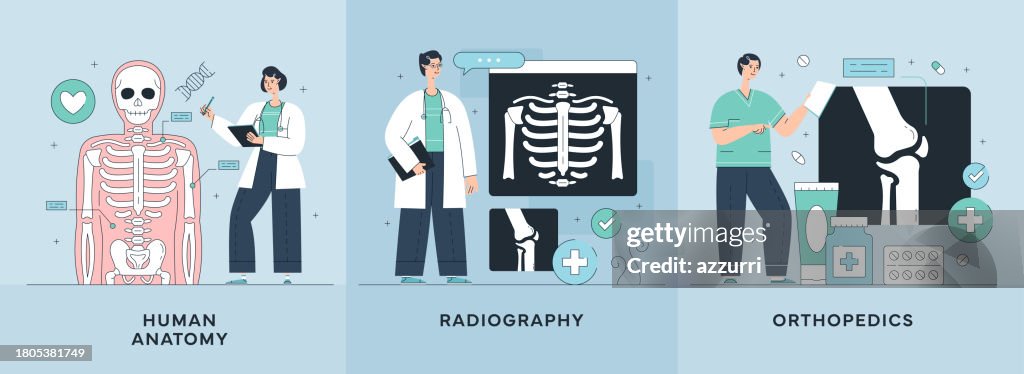 Human Anatomy, Radiography, Orthopedics Illustrations