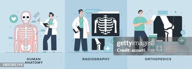human anatomy, radiography, orthopedics illustrations - orthopedic doctor stock illustrations