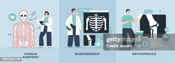 human anatomy, radiography, orthopedics illustrations - 放射線技師 幅插畫檔、美工圖案、卡通及圖標