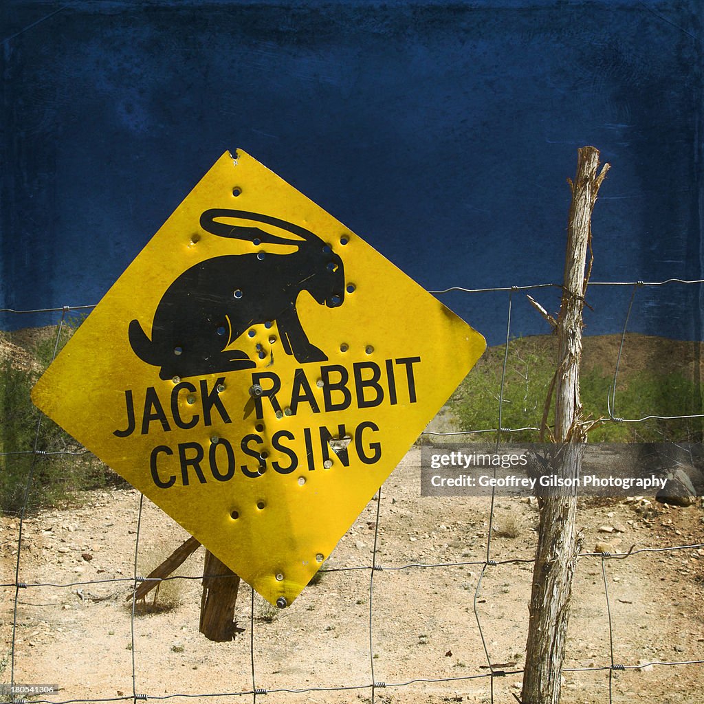 Route 66 Rabbit Route 66 Jack Rabbit Crossing High-Res Stock Photo - Getty Images