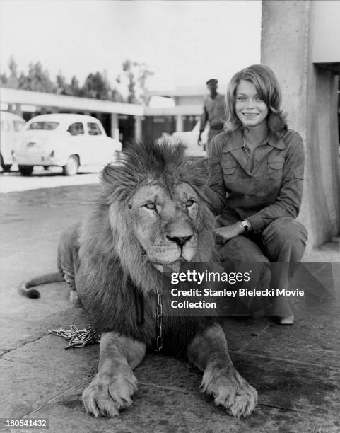 Promotional shot of actress Neda Arneric and a lion, as she appears in the movie 'Shaft in Africa', 1973.