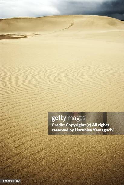 scene of tottori-dune - tottori prefecture stock pictures, royalty-free photos & images