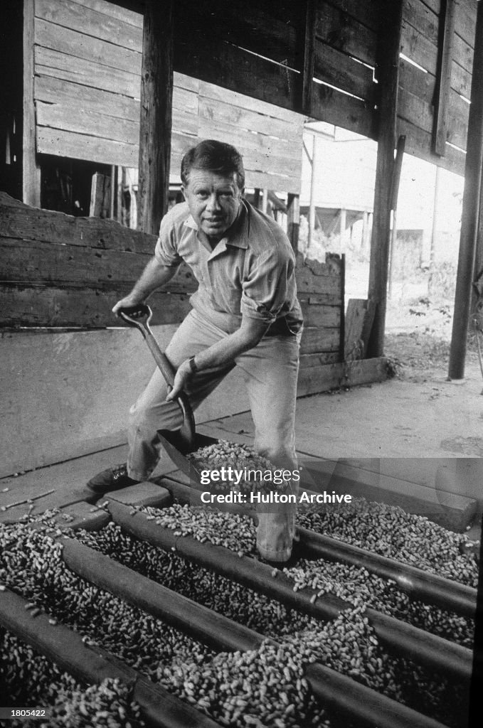 Jimmy Carter Shovels Peanuts, GA, 1970s.