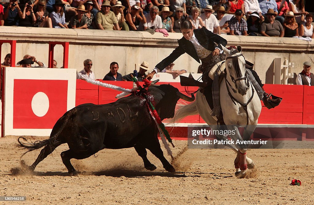 Bullfight : Feria Des Vendanges 2013 In Nimes