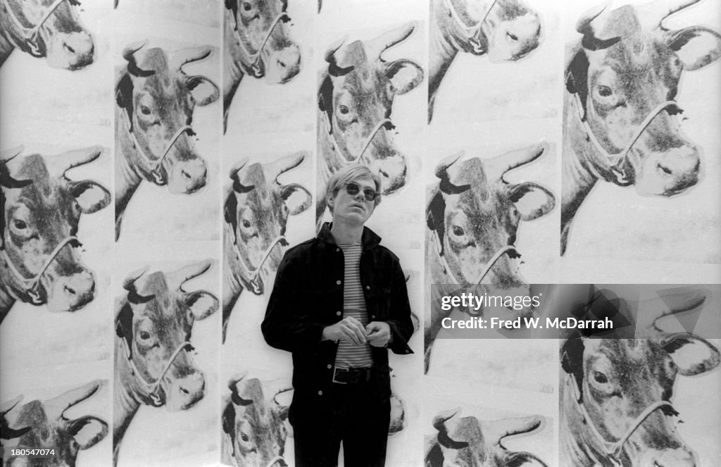 Andy Warhol & 'Cows'