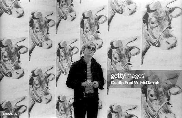 American pop artist Andy Warhol poses before his 'Cows' wallpaper at the Leo Castelli Gallery, New York, New York, April 1, 1966. The cow heads were...