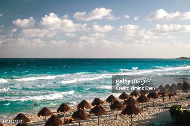 dolphin beach (playa delfines) of cancun - mexico stock pictures, royalty-free photos & images
