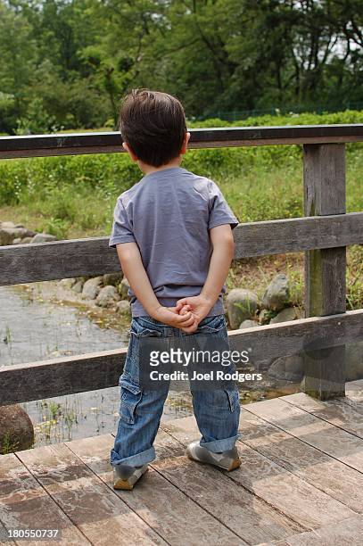 little boy standing on wooden foot bridge - hands behind back stockfoto's en -beelden