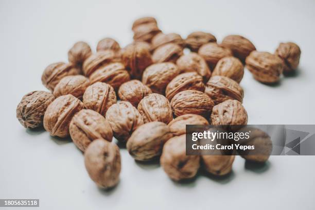 simple imagen of image of nuts - color tipo de imagen - fotografias e filmes do acervo