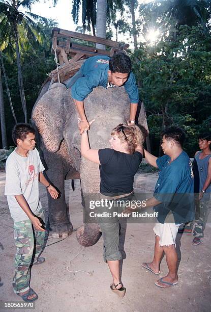 Sandra Steffl, bei thailändische junge;Männer, ARD-Film "Eine Insel zum Träumen",;Insel Koh Samui/Thailand/Asien, Dschungel,;auf Elefanten aufsteigen,