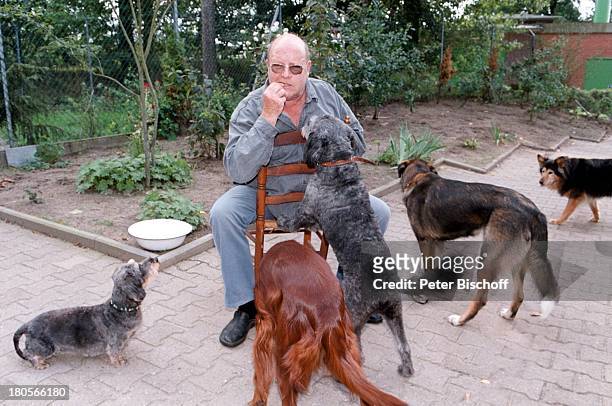 Gert Haucke, Hunde-Mischlinge, Tierheim von Gert Haucke, Lüneburg, Deutschland, Europa, Hund, Hunde, Tier, Tiere, Brille,;Schauspieler,