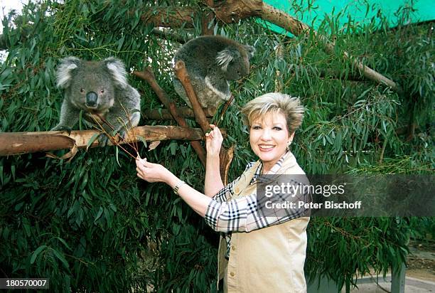 Carolin Reiber, Melbourne/Australien, "Melbourne Zoo", Koala, Koalabär, Füttern, ZDF-Leserreise,